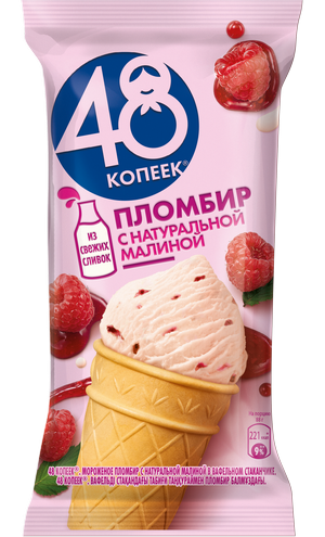 48 КОПЕЕК Стакан Малина 88г