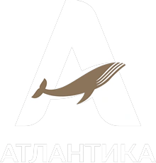 Логотип партнёра