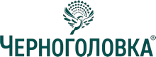 Логотип партнёра