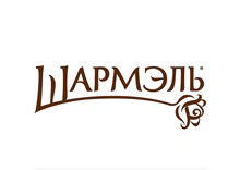 Логотип партнёра